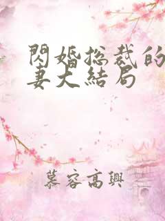 闪婚总裁的契约妻大结局
