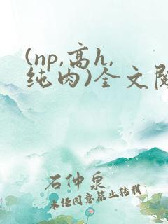 (np,高h,纯肉)全文阅读
