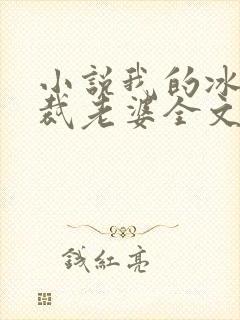 小说我的冰山总裁老婆全文阅读