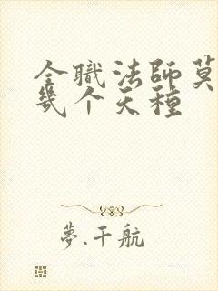 全职法师莫凡有几个天种