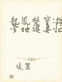 龙凤双宝:总裁爹地追妻忙