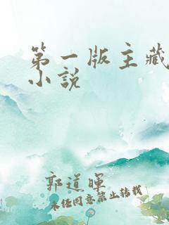 第一版主藏经阁小说
