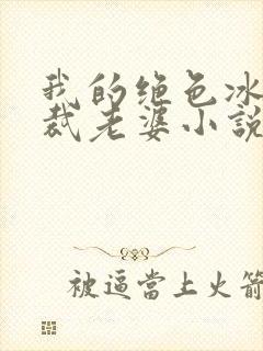 我的绝色冰山总裁老婆小说