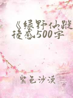 《绿野仙踪》读后感500字