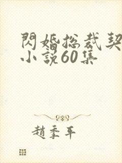 闪婚总裁契约妻小说60集