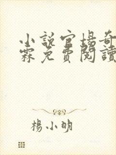 小说官场奇才李霖免费阅读