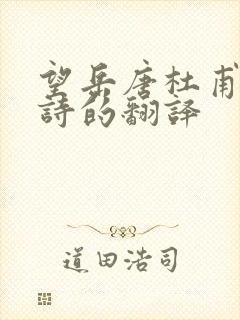 望岳唐杜甫这首诗的翻译