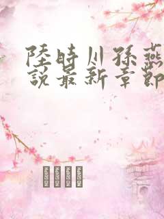 陆时川孙燕燕小说最新章节阅读免费