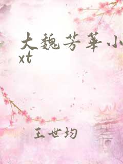 大魏芳华小说txt