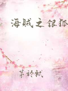 海贼之银狐大将