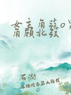 女主角苏o男主角顾北弦