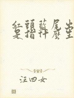 红头蓝尾出生肖是指什么生肖