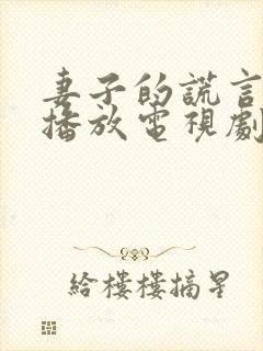 妻子的谎言免费播放电视剧大全
