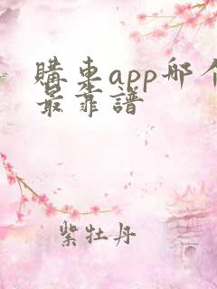 购车app哪个最靠谱
