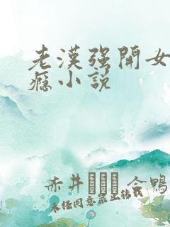 老汉强开女娃过瘾小说
