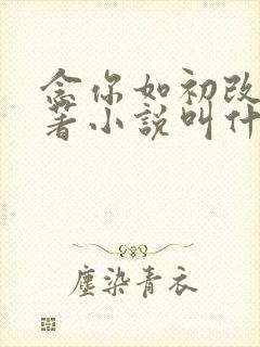 念你如初改编原著小说叫什么