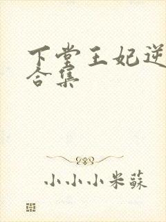 下堂王妃逆袭记合集