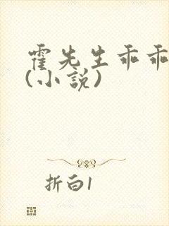 霍先生乖乖宠我(小说)
