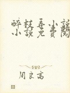 醉枝弄小说原著小说免费阅读