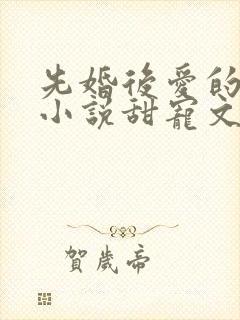 先婚后爱的现代小说甜宠文