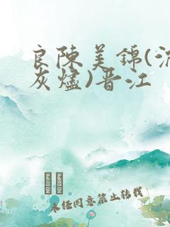 良陈美锦(沉香灰烬)晋江