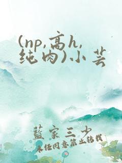 (np,高h,纯肉)小芸