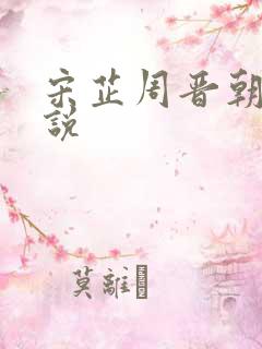 宋芷周晋朝的小说