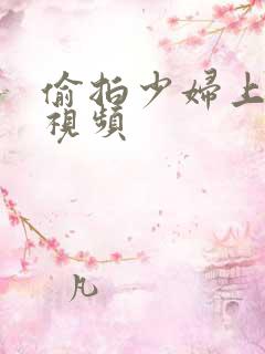 偷拍少妇上厕所视频