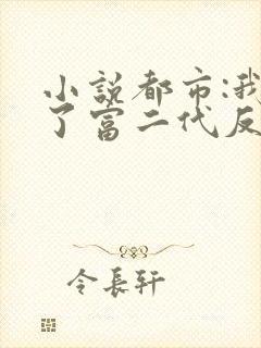 小说都市:我成了富二代反派小说