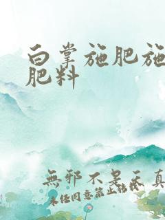 白掌施肥施什么肥料