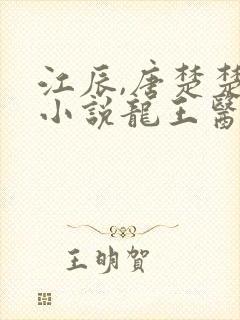 江辰,唐楚楚的小说龙王医婿
