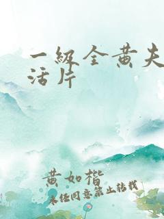 一级全黄夫妻生活片