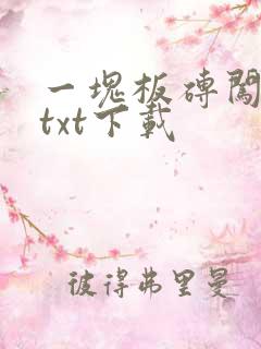 一块板砖闯仙界txt下载