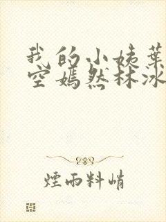 我的小姨叶凡司空嫣然林冰