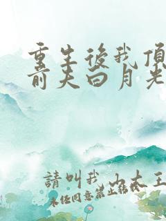 重生后我顶替了前夫白月光 第507章