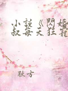 小说《闪婚后大叔每天狂宠我》