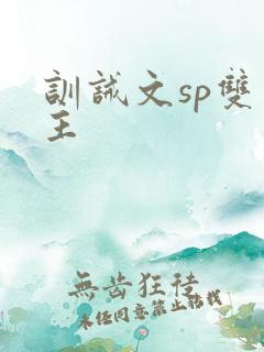 训诫文sp双男主