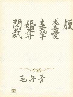 闪婚来袭腹黑总裁夺挚爱
