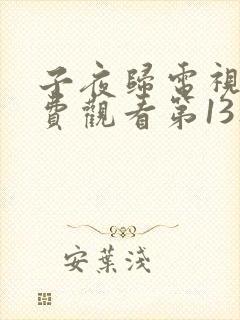 子夜归电视剧免费观看第13集