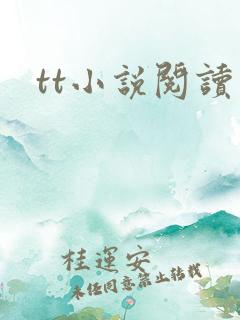 tt小说阅读器