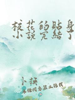 校花的贴身高手小说完结了吗