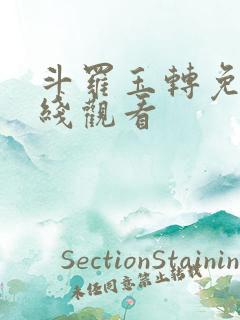 斗罗玉转免费在线观看