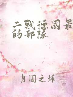 二战德国最能打的部队