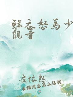 鲜衣怒马少年郎观看