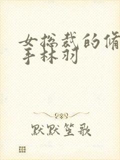女总裁的修仙高手林羽