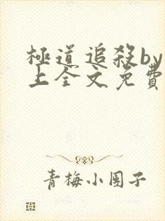 极道追杀by淮上全文免费阅读