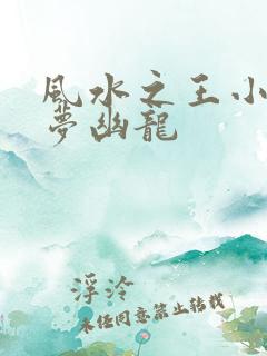 风水之王小说紫梦幽龙
