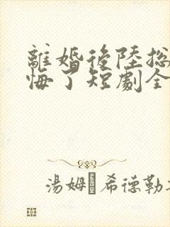 离婚后陆总他后悔了短剧全集