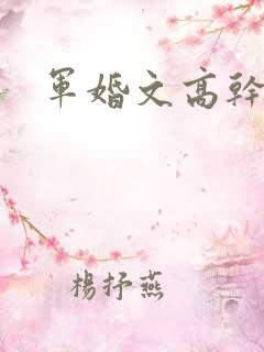 军婚文高干文