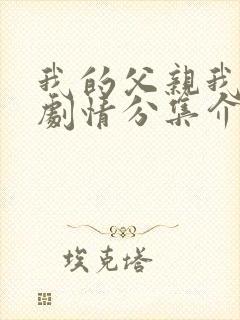 我的父亲我的兵剧情分集介绍
